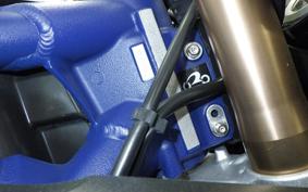 TRIUMPH DAYTONA 675 2009