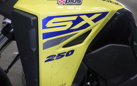 SUZUKI Vｽﾄﾛｰﾑ250SX 2012 EL11L