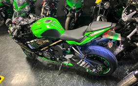 KAWASAKI NINJA ZX-6R KRT ED 2020 ZX636G