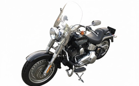 HARLEY FLSTF1340-1450 2009 BX5