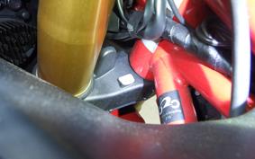 DUCATI SS950S 2022