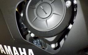 YAMAHA YZF-R25 2021 RG43J