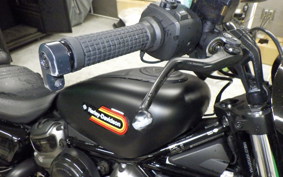 HARLEY RH975S 2023