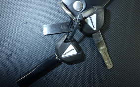 KAWASAKI NINJA1100SX SE 2025