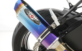 KAWASAKI NINJA ZX-6R 2020 ZX636G