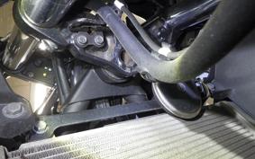 KAWASAKI NINJA 250 ABS EX250L