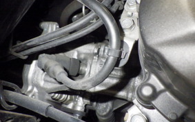 HONDA TACT-4ﾍﾞｰｼｯｸ 2024 AF75