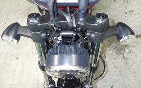 HARLEY RH975 2025