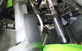 KAWASAKI NINJA 250 ABS EX250L