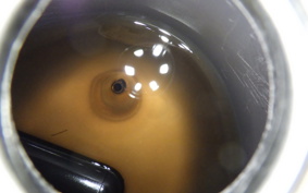 HONDA C90 SUPER CUB E HA02