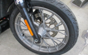 HARLEY RH975 NIGHT STAR 2024 ZF1