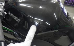 KAWASAKI NINJA 1000SX 2024 ZXT02K