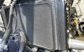 YAMAHA XSR900 2020 RN56J