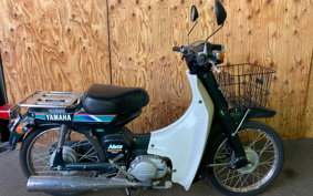 YAMAHA MATE50DX V50