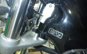 YAMAHA VIRAGO 250 2024 3DM