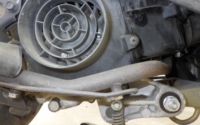 HONDA TODAY 2019 AF61