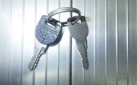 KAWASAKI Z900 2026 Z1F