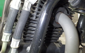 YAMAHA FZS25 2012