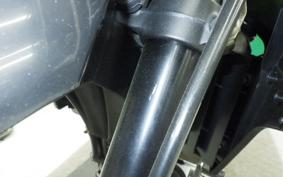 KAWASAKI KLX250D TRACKER X LX250V