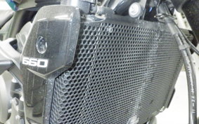 TRIUMPH TRIDENT 660 2025