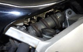 HONDA CBR250RR 2026 MC22