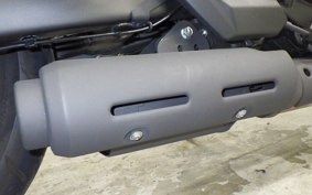 KAWASAKI VULCAN 650 SA 2024 EN650M