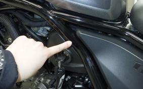 HONDA REBEL 1100 DCT 2025 SC83