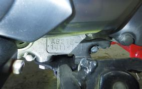 HONDA MONKEY 1996 Z50J