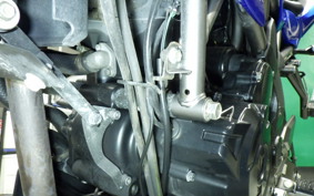 KAWASAKI Z250 SL 2021 BR250E