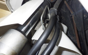 HONDA LEAD 110 JF19