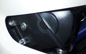 TRIUMPH DAYTONA 675 2009