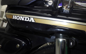 HONDA C100 SUPER CUB 2010 HA06