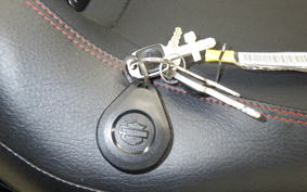 HARLEY FXBRS1870 2020