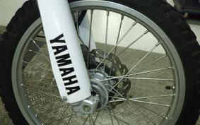 YAMAHA WR250R 2024 DG15J