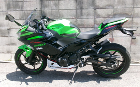 KAWASAKI NINJA 250 KRT ED EX250P