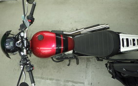 TRIUMPH SCRAMBLER 900 2023