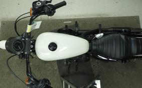 HARLEY XL1200NS 2018