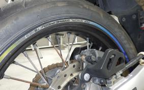 KAWASAKI KLX250D TRACKER X 2022 LX250V