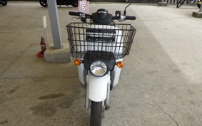 HONDA BENLY 50 AA05
