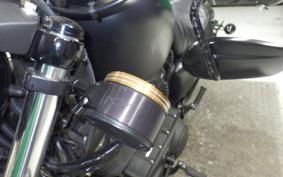 HARLEY XL883N 2017