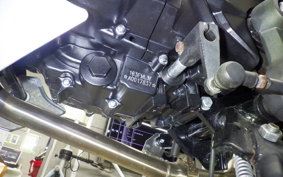 OTHER +GPXｼﾞｪﾝﾄ LE MANS200 2024