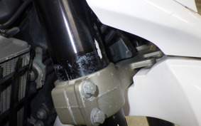 YAMAHA WR250X DG15J
