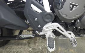 TRIUMPH TIGER 900 RALLY PRO 2022