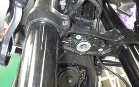 HARLEY ﾊﾟﾝ AMERICA1250ST 2025
