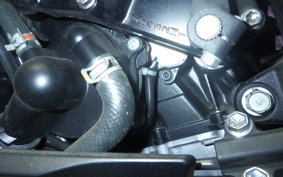 SUZUKI GSX-S1000F 2021 GT79B