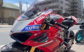 DUCATI PANIGA-REV4S 2018 DA00J