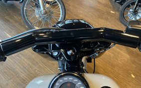 HARLEY FLFB 2025 YF9