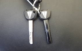 KAWASAKI NINJA1100SX 2025 ZXT10H