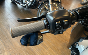 HARLEY FLFB 2025 YF9