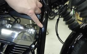 HARLEY FXBB1920 2025